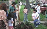 Community Gardens 2005