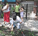 Community Gardens 2005